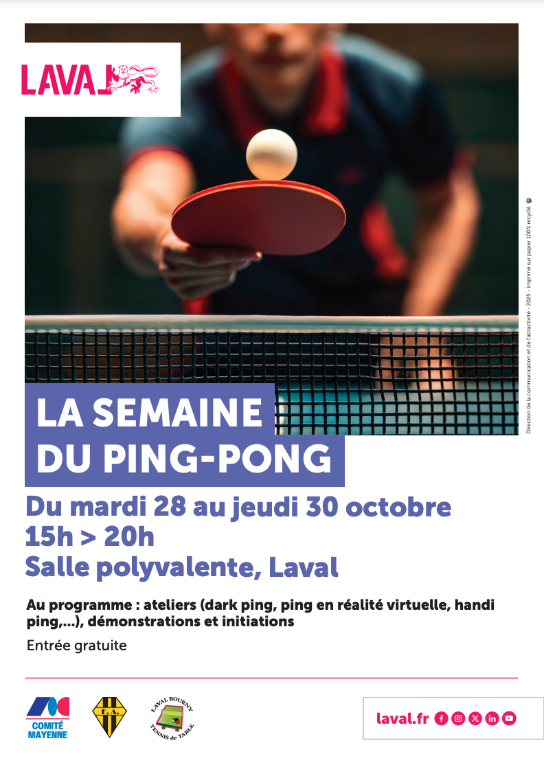 Animation ping salle polyvalente Laval