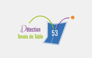 DETECTION DEPARTEMENTALE