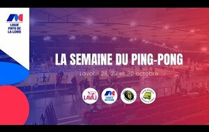 Animation salle polyvalente Laval