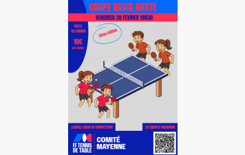 Coupe Davis MIXTE