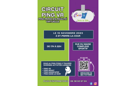 Circuit Ping VR